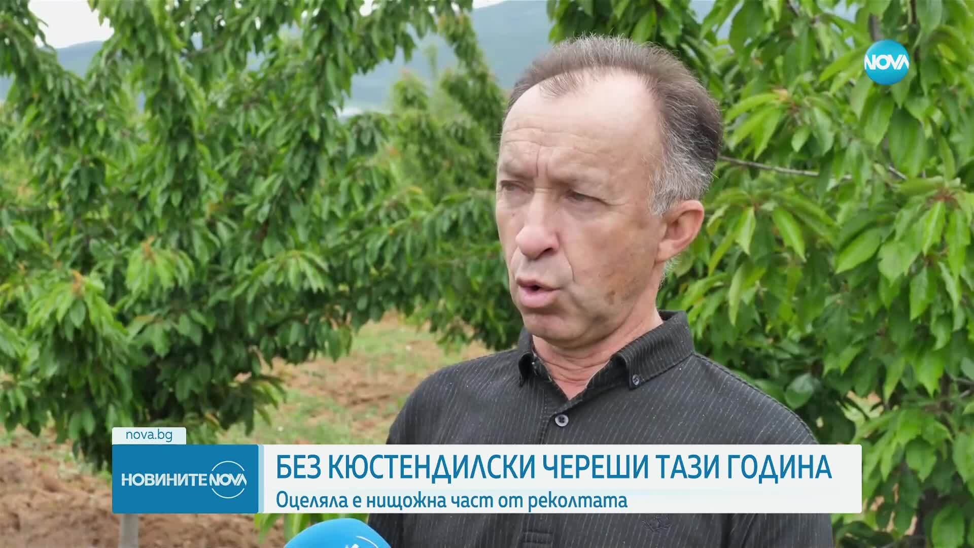 Новините на NOVA (25.05.2025 - обедна емисия)