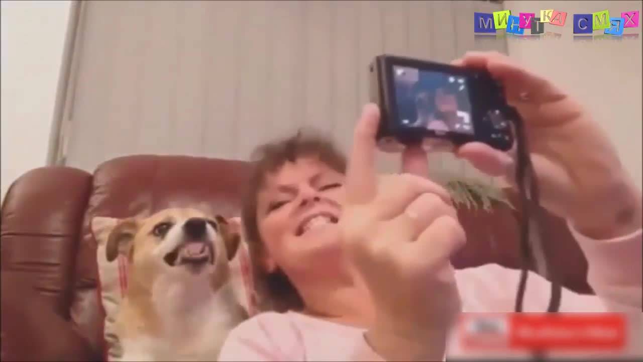 Дневна порция смешни изцепки - Минутка смях