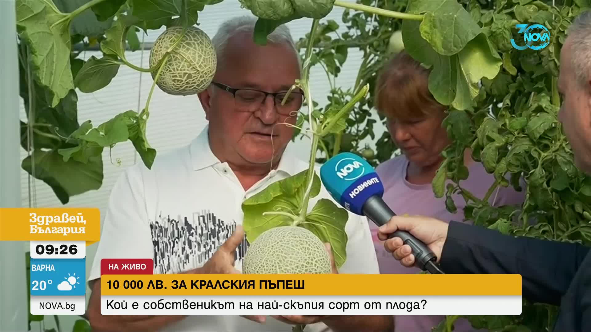Кой е мъжът, купил за 10 000 лв. пъпеш от най-скъпия сорт в света