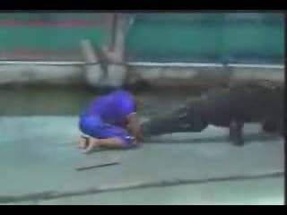 Крокодил Отхапва Ръката На Човек (брутално