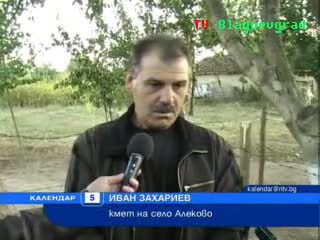 Образ на човек върху дърво? 