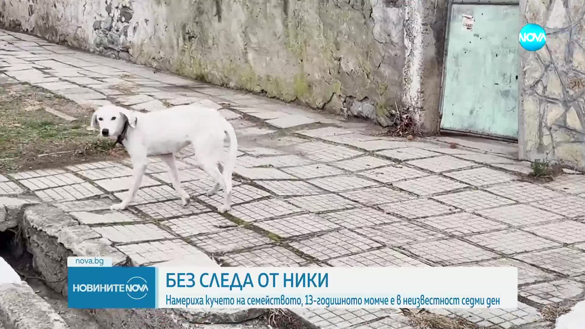Новините на NOVA (23.12.2024 - централна емисия)