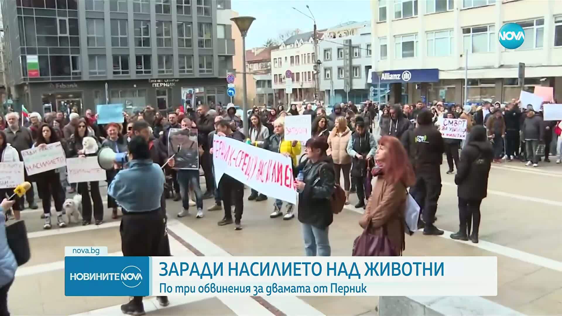 Повдигнаха по три обвинения на мъжа и жената от Перник за насилието над животни