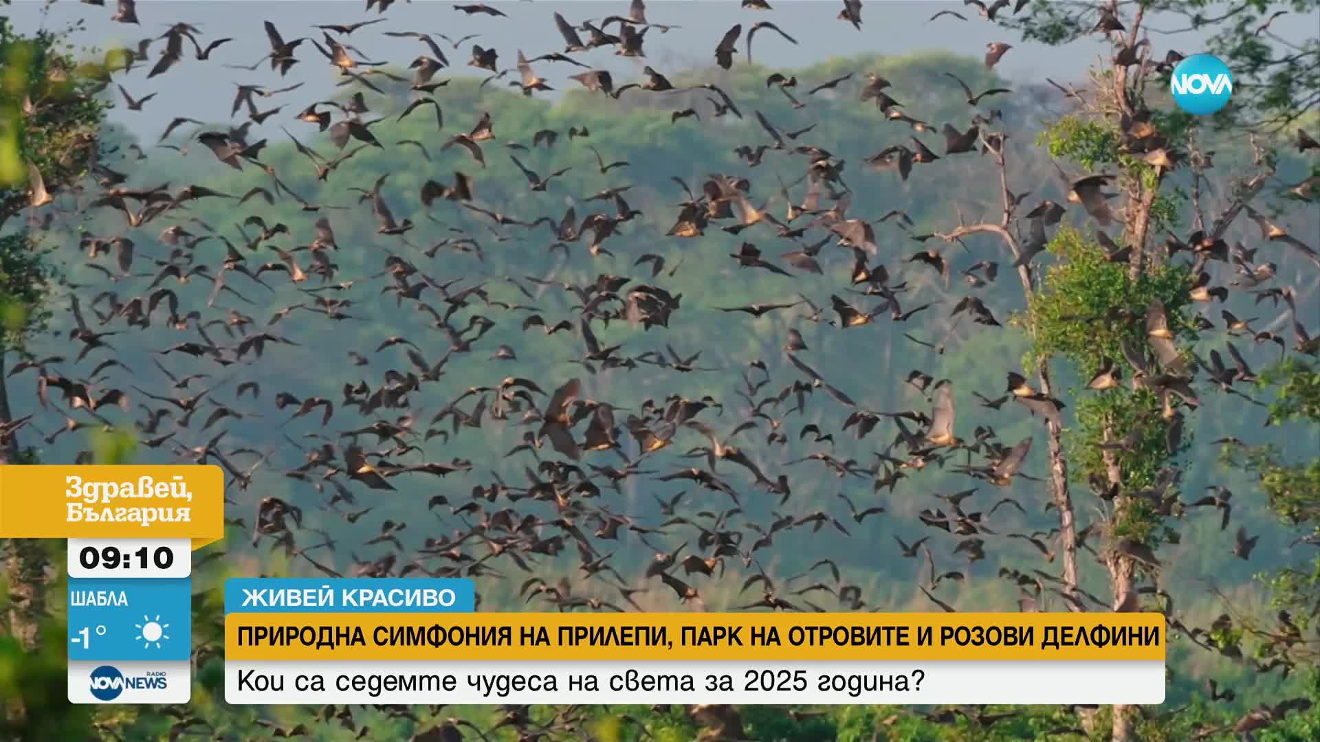 "Живей красиво": Кои са седемте чудеса на света за 2025 г.