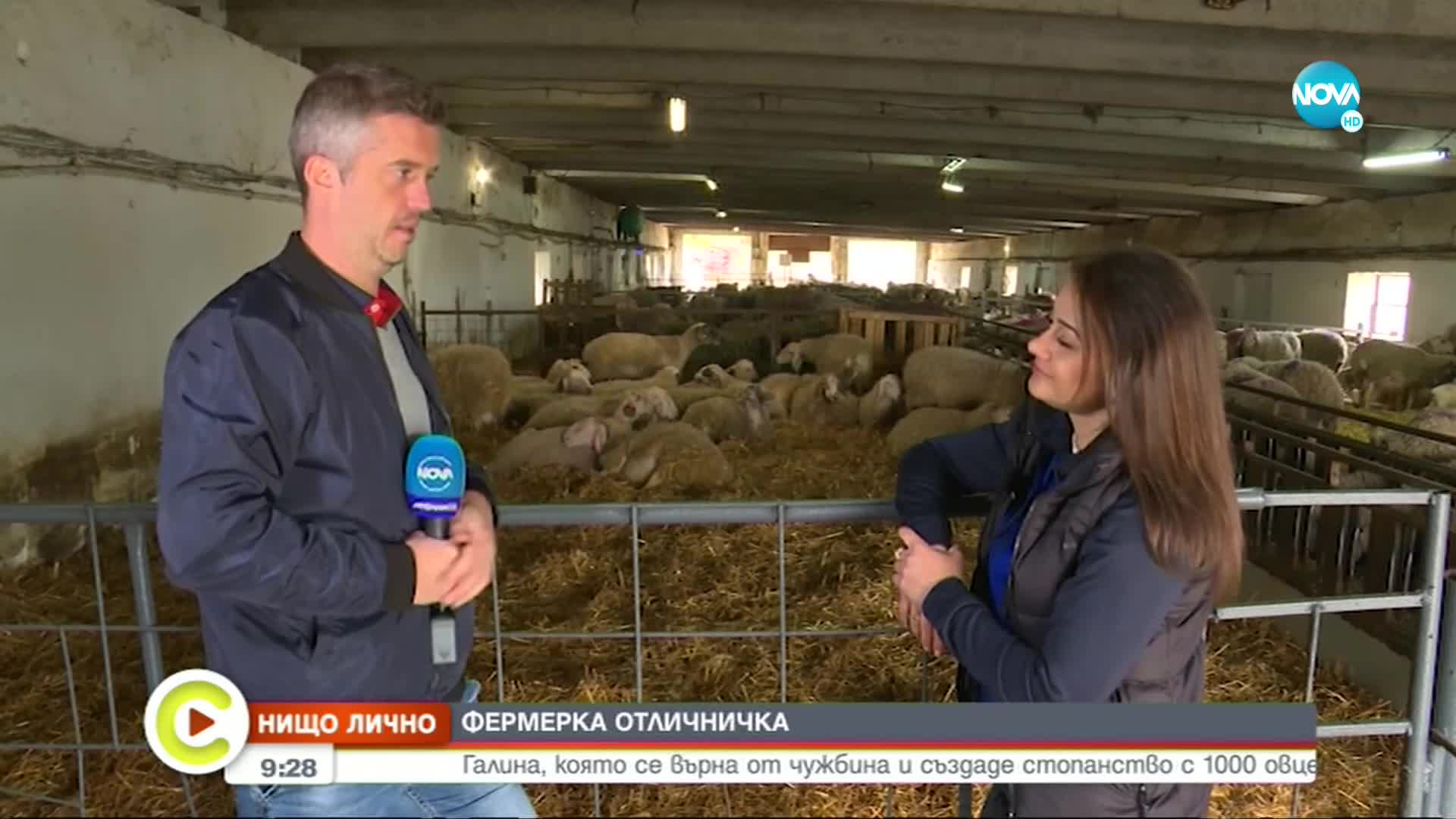 „НИЩО ЛИЧНО”: Фермерката, която гледа близо 1000 овце