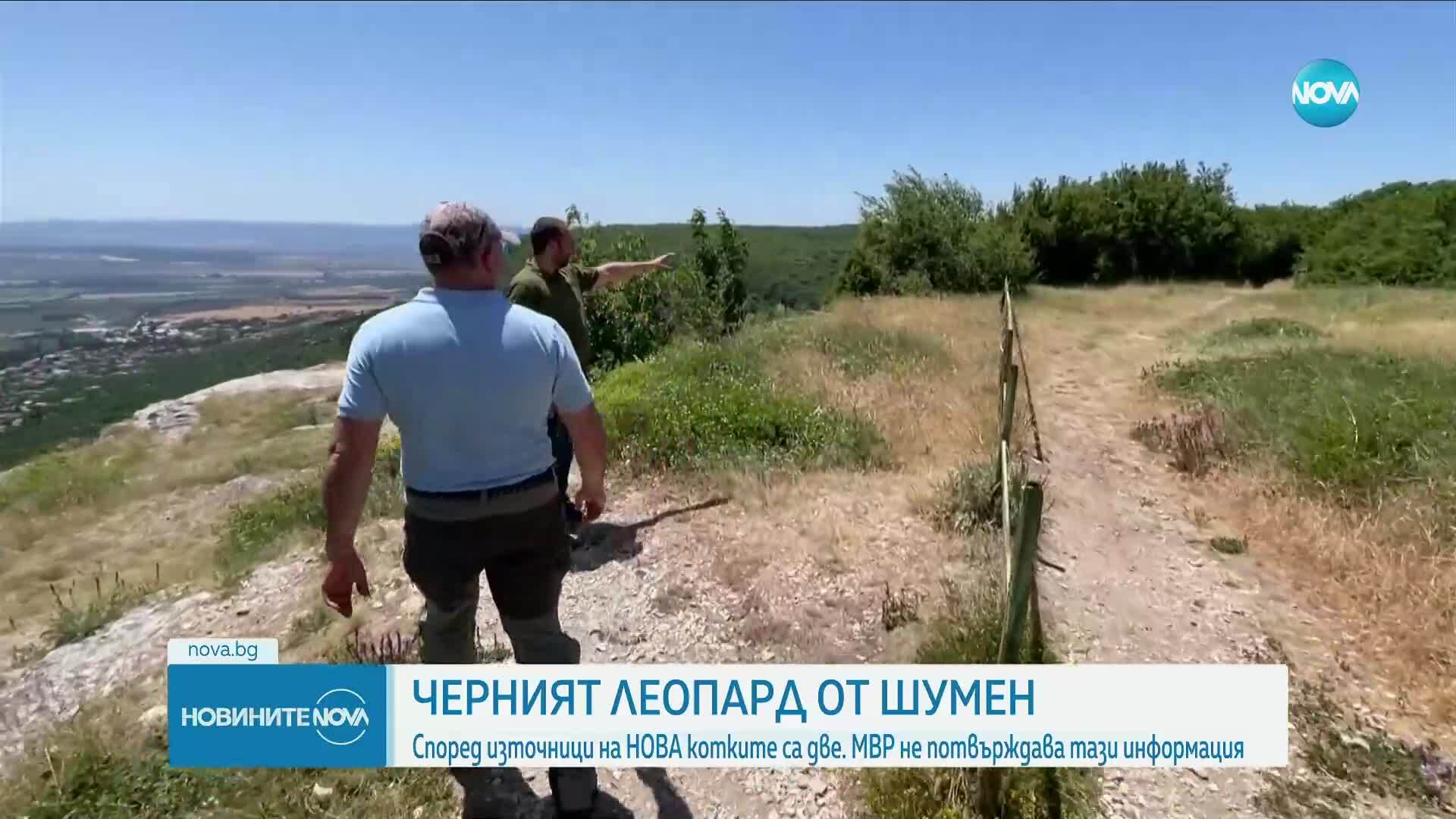 Източници на NOVA: Два са избягалите леопарди в Шуменско. МВР: При нас няма сигнали за второто животно