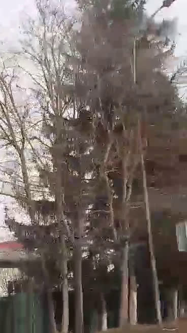 Замърсяване на въздух