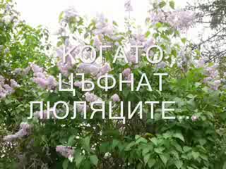 Vesna - Кога Замиришат Люляците - Превод