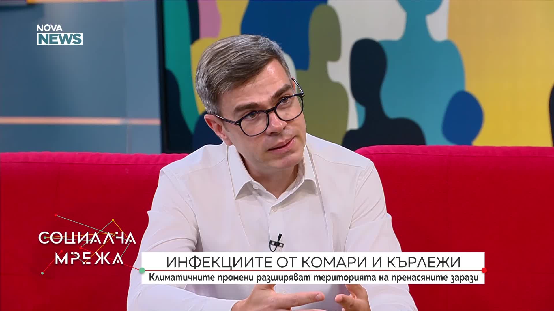 В разгара на лятото: Какво да правим, ако ни ухапе кърлеж или комар?