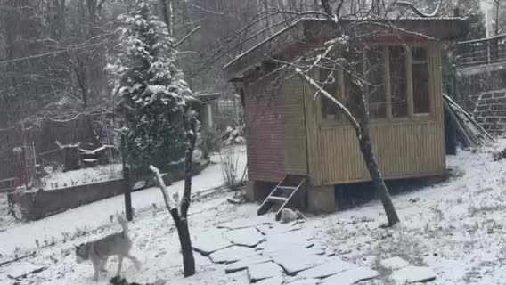 Празничен баланс: Почивка за тялото, ума, душата
