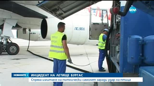 Птица удари излитащ самолет на Летище Бургас, отложиха полета