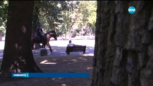 Установена е самоличността на биячите от Борисовата градина