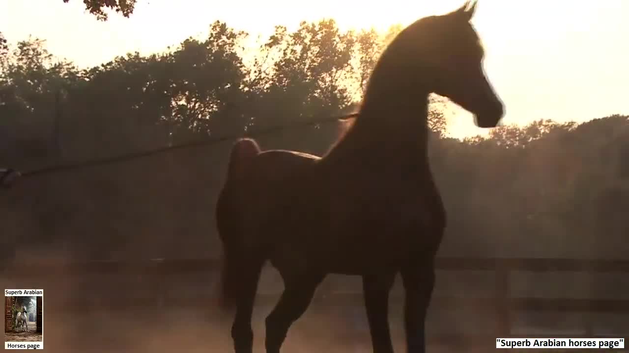 Духът на Свободата - 9