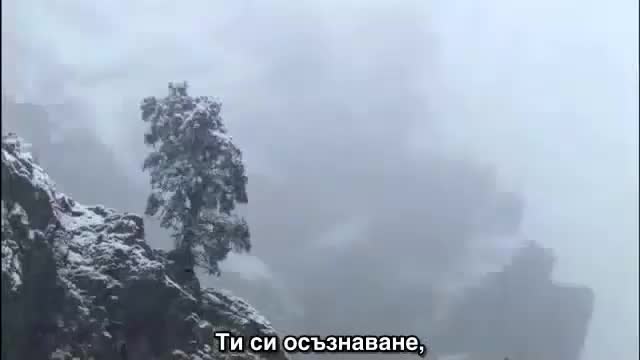 Кой си ти всъщност ?
