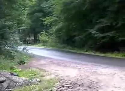 Добро овладяване на автомобил и малко късмет !