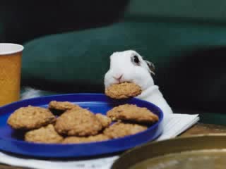 Смешни Картинки