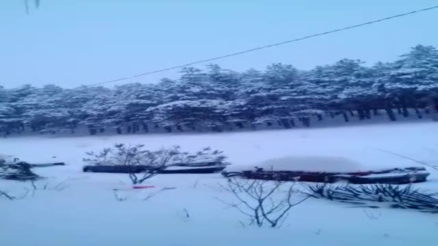 Сняг в Средец
