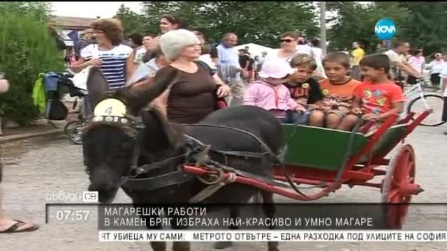В Камен бряг избраха най-красиво и умно магаре
