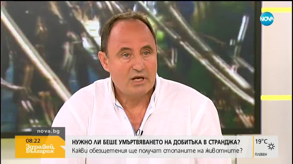Съветникът на земеделския министър: Стопаните ще бъдат обезщетени с по 140 лв. за агне