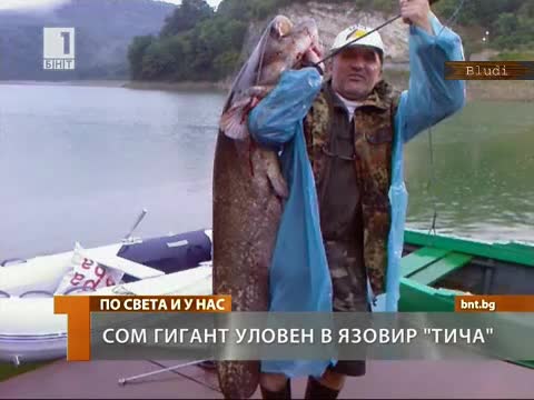 Сом гигант уловен в язовир Тича 