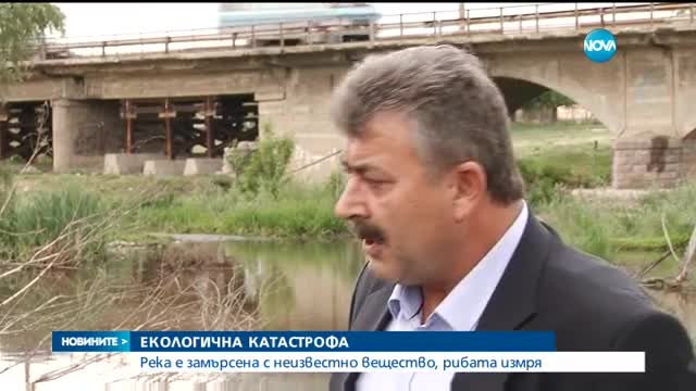 ЕКОКАТАСТРОФА: Тонове умряла риба плува в река край Първомай