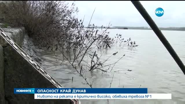 Нивото на Дунав е опасно високо