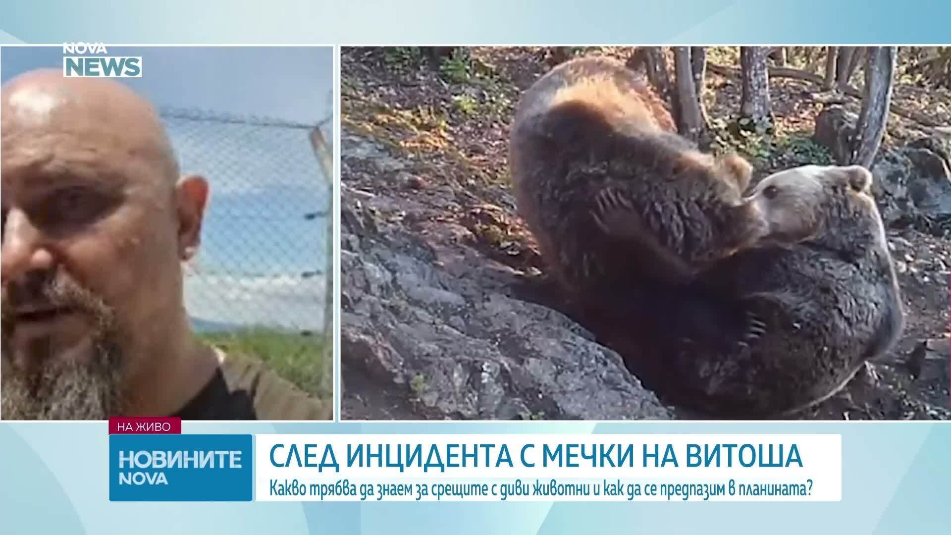 За какво да внимаваме по време на разходка в планината
