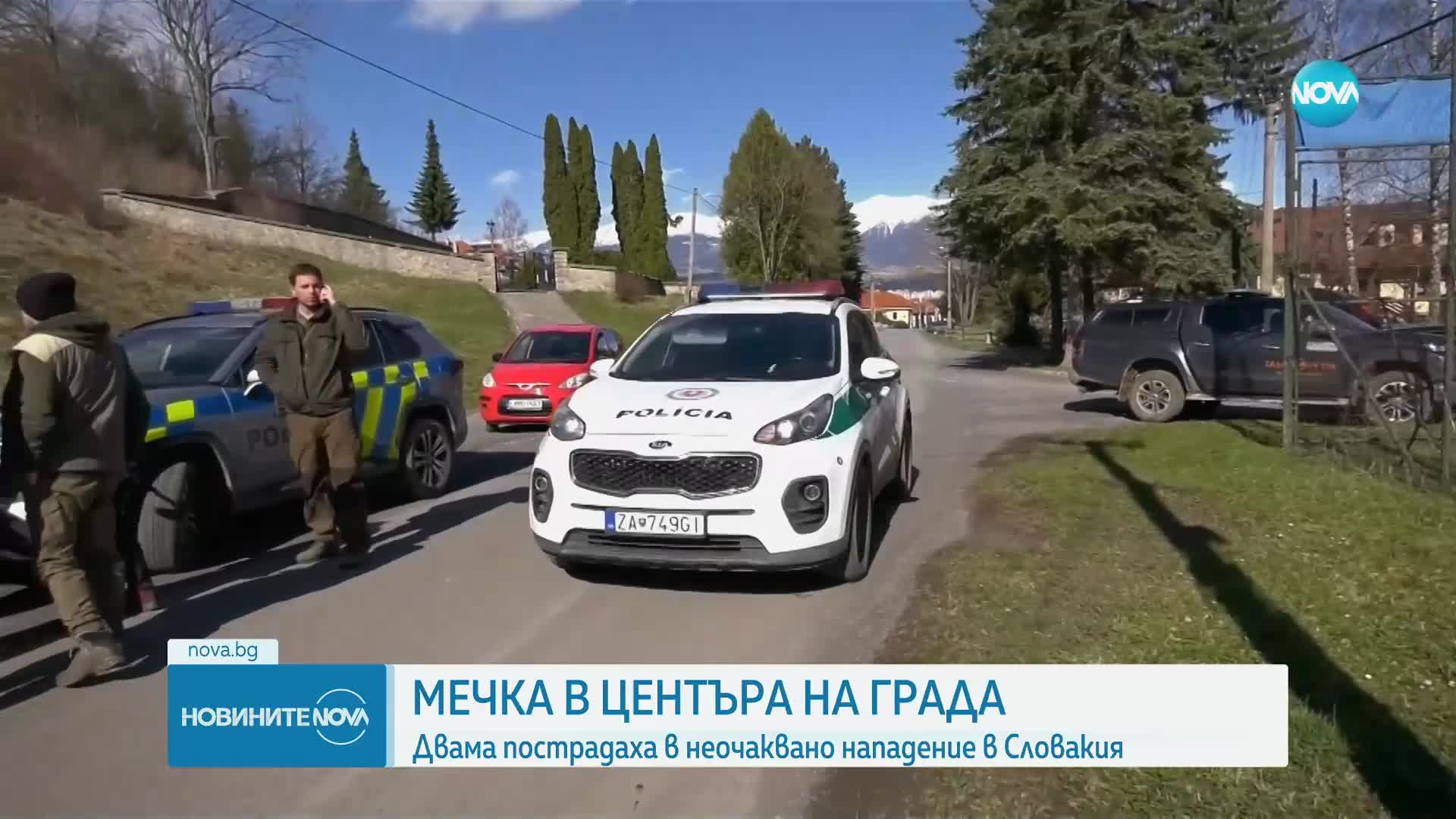 Мечка нападна хора в центъра на град в Словакия