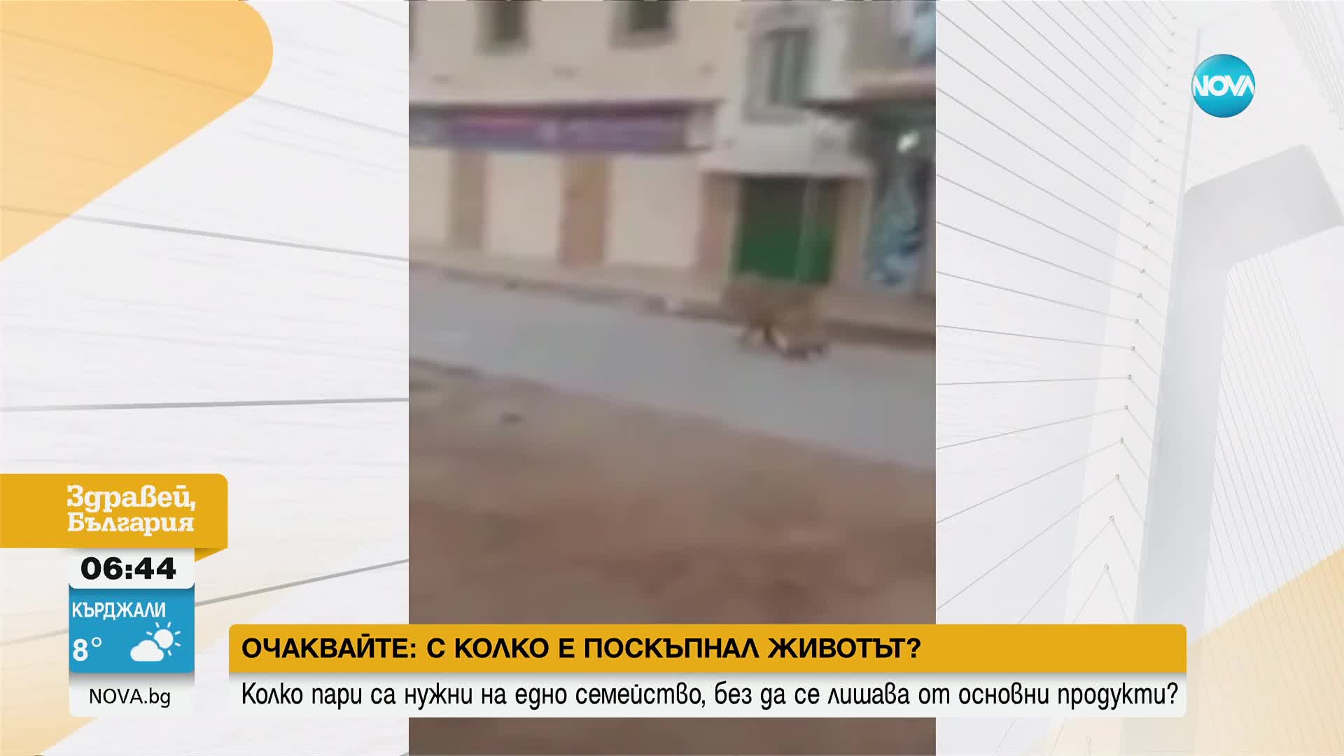 30 лъва избягаха от резерват в Судан