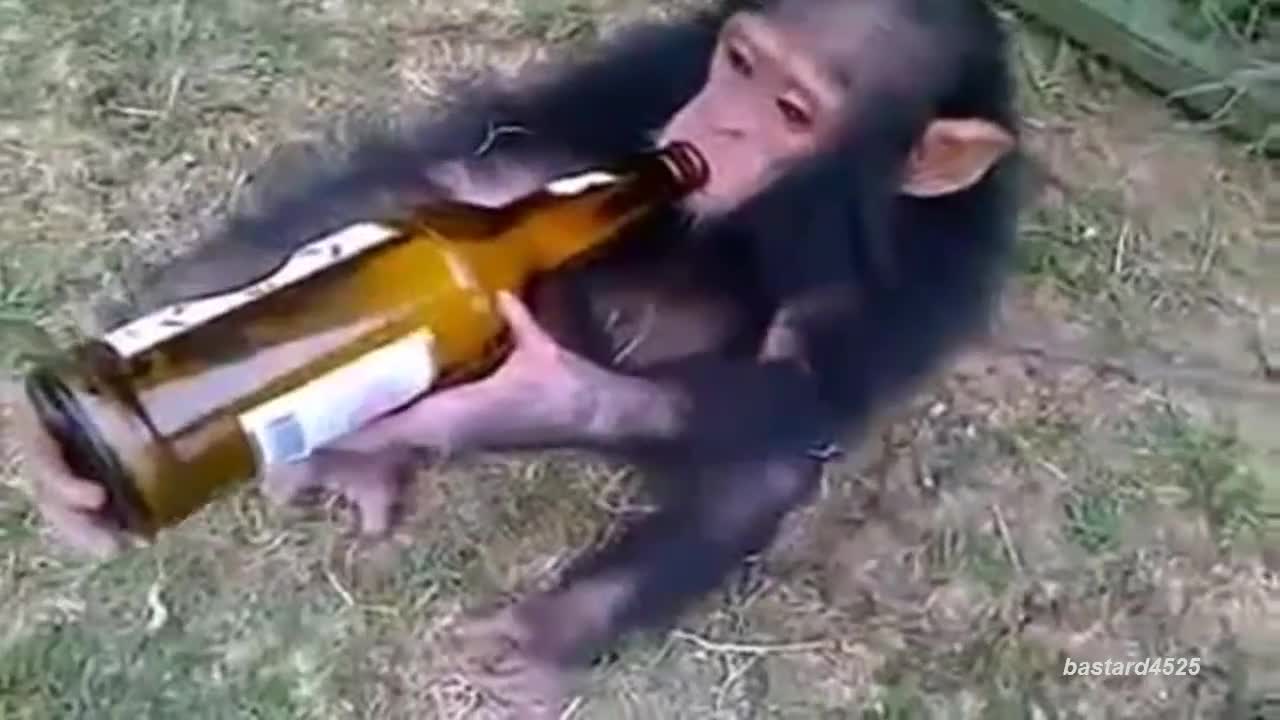 Малък алкохолик