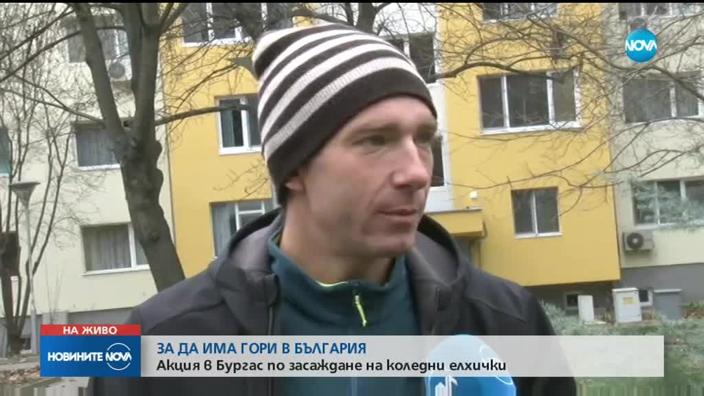 Акция по засаждане на коледни елхички в Бургас
