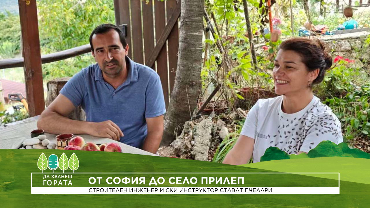 Да хванеш гората | От София до село Прилеп | 20 септ. 2026