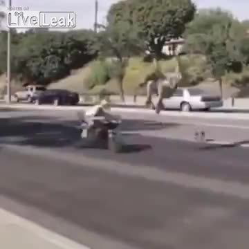 Как се спасява котка ! ..