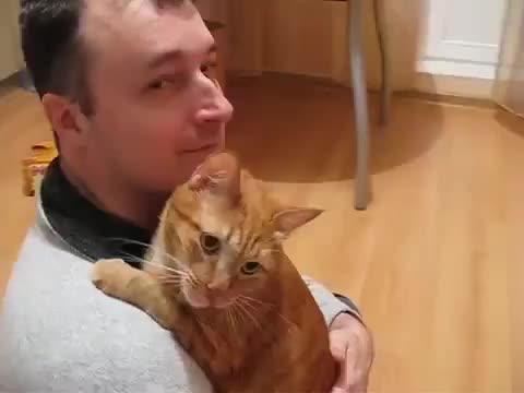 >Котка прегръща стопанина си
