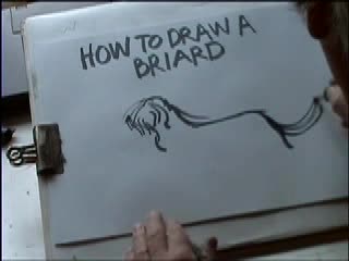 Как Да Нарисуваме Куче Briard