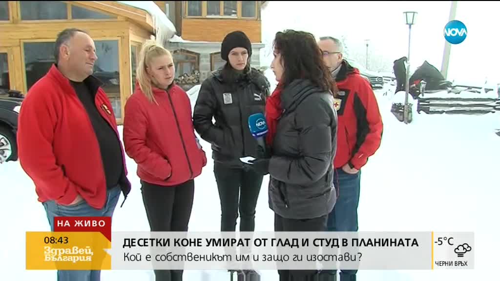 Десетки изоставени коне умират от студ и глад в Осоговската планина