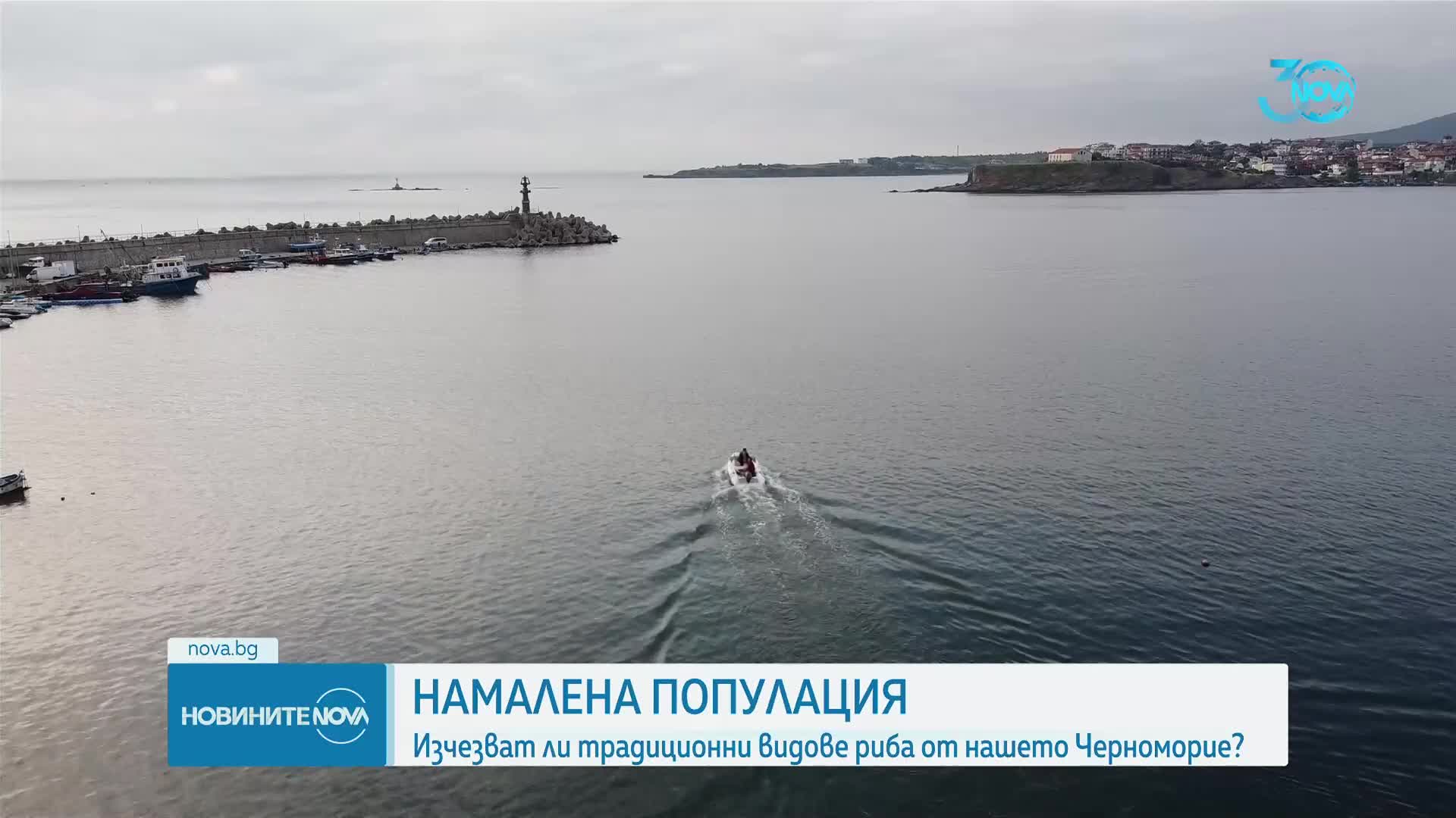 Под 3% от улова на риба в Черно море е за България и Румъния