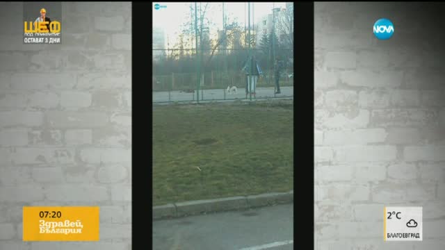 "Моята новина": Ремонтират” пропаднала шахта с… елха
