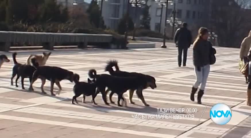 В "Часът на Милен Цветков" на 28 март очаквайте