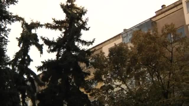 Вина и бременност в Съдби на кръстопът (23.02.2015)