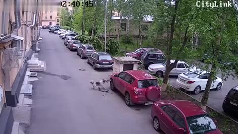 Камера заснема как улично куче нанася повреда на паркиран на улицата джип !