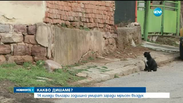 Новините на Нова (16.02.2016 - централна)