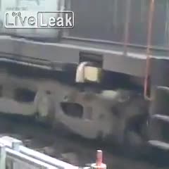 Куче оцелява по чудо след сблъсък с влак