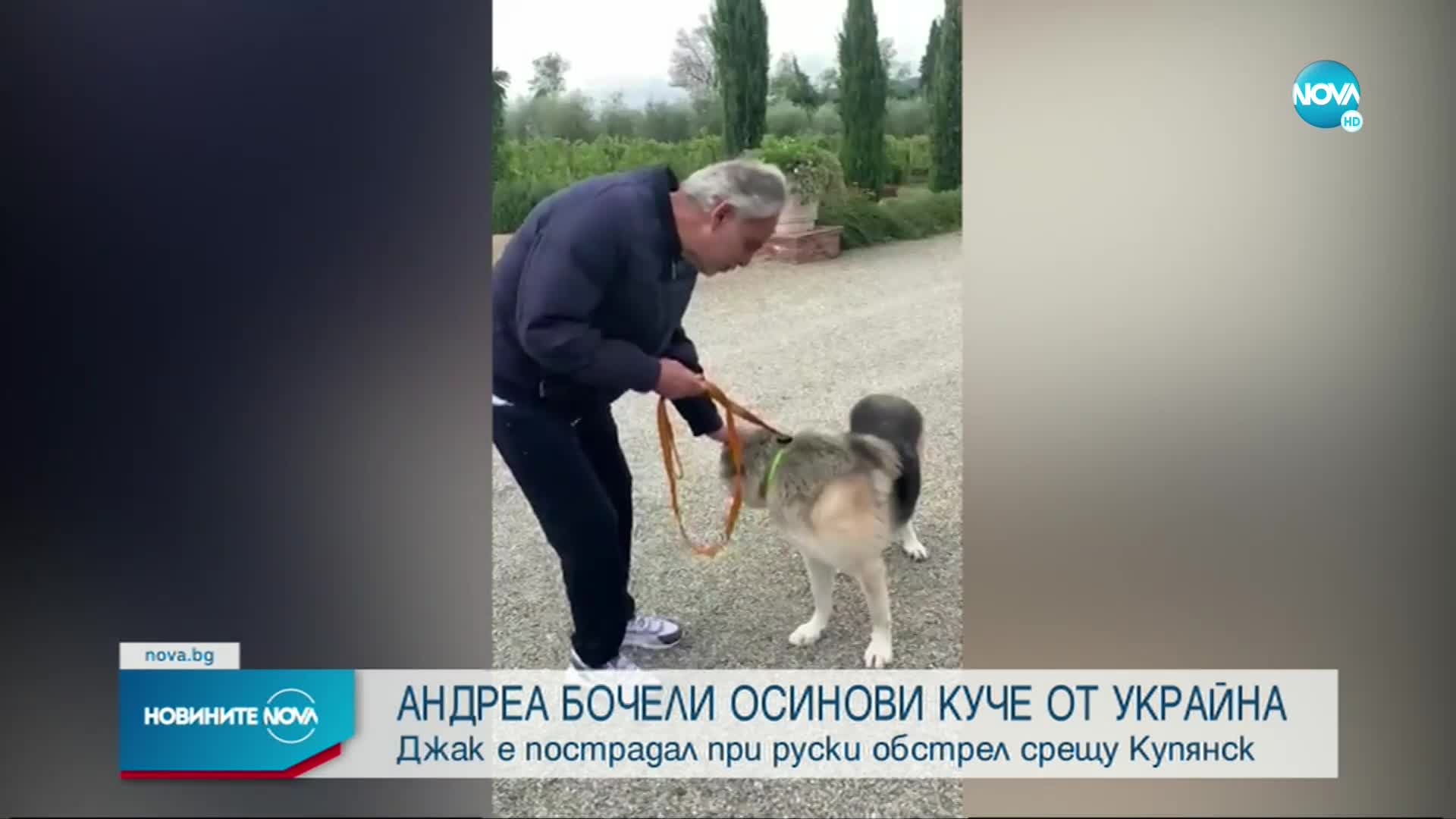 Андреа Бочели осинови куче, спасено в Украйна