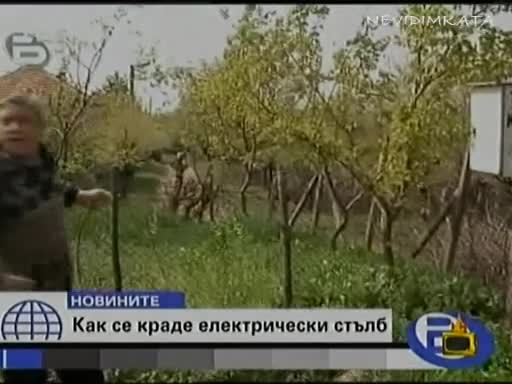 Смях - Едни Крадът Жица - Други Цели Стълбове(г. на ефира)