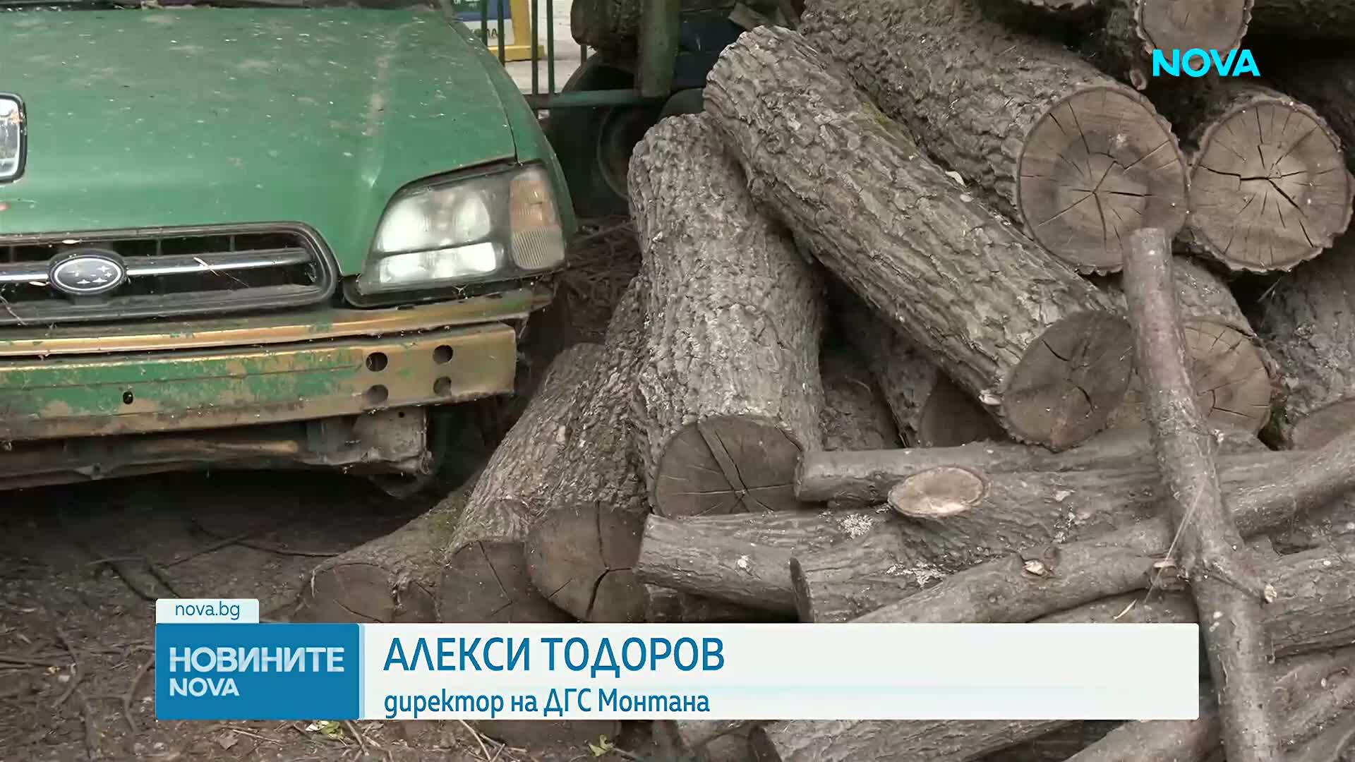Драстичен скок на незаконния дърводобив в Монтанско с идването на есента