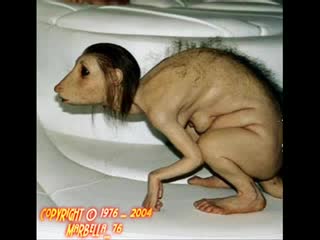 Коя Е Тази Гола Фолк Звезда ?????