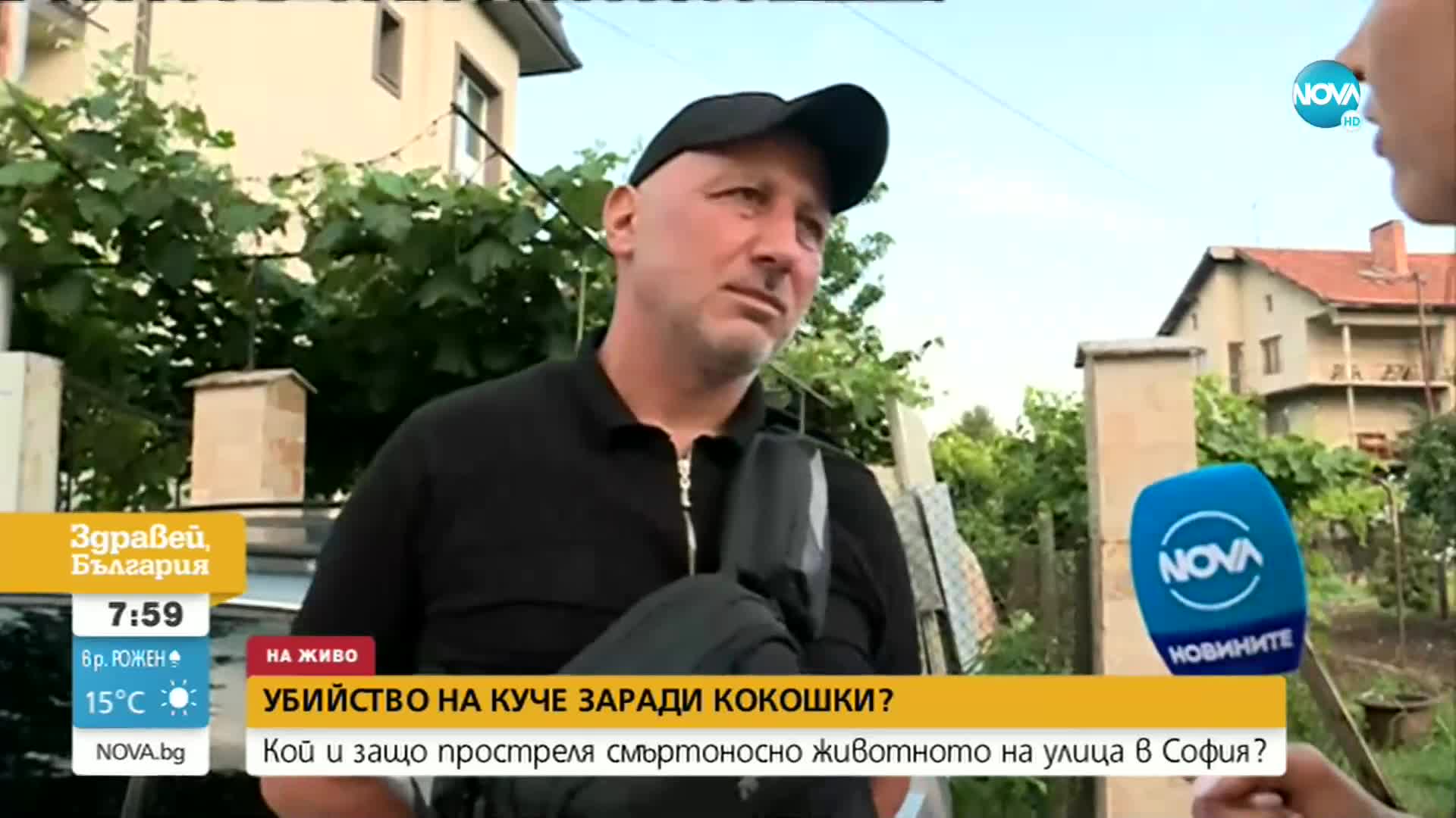 Мъж убил съседското куче, защото плашело кокошките му