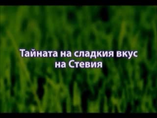 Стевия Lux - Д-р Нинов