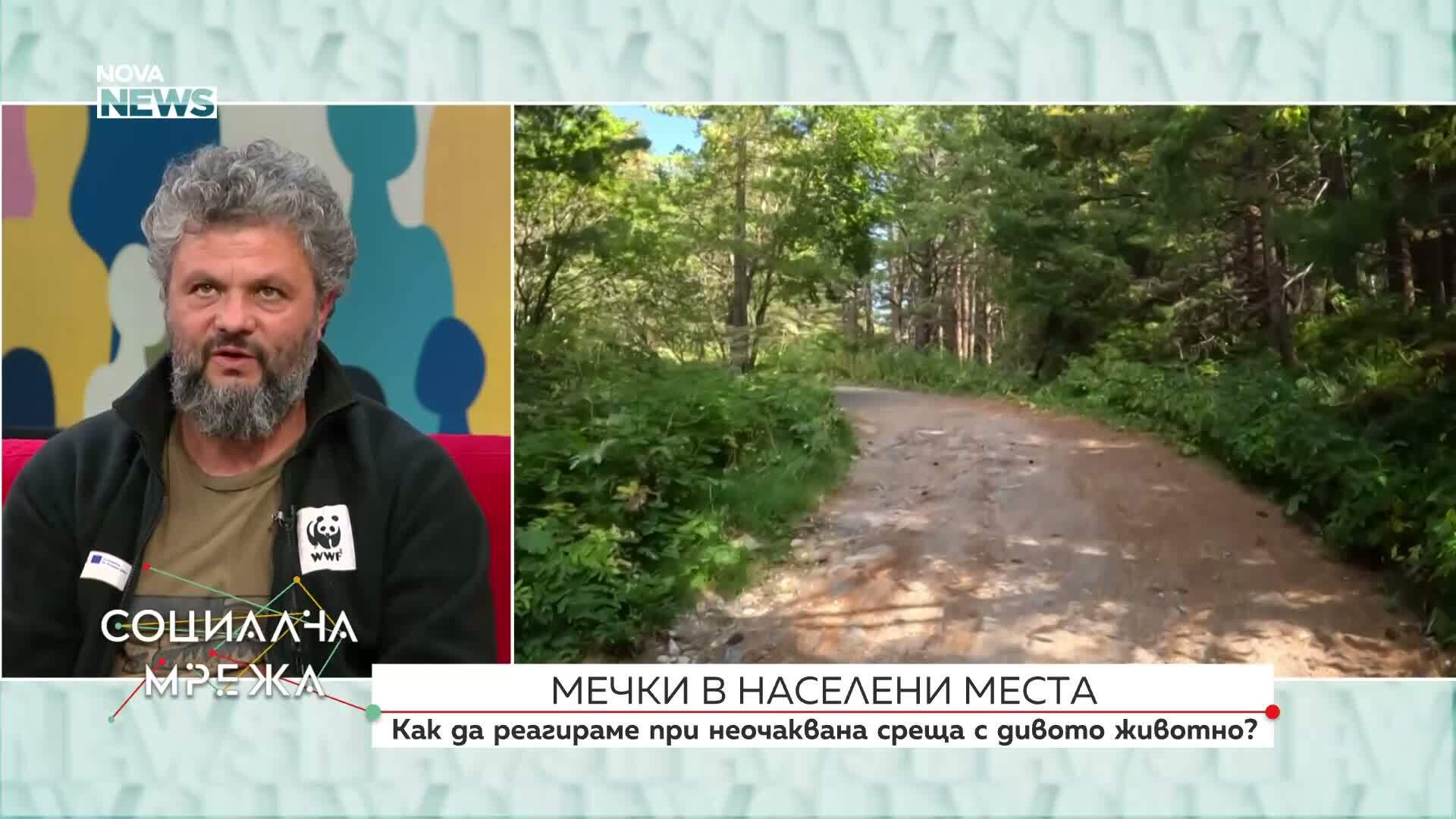 Как да реагираме при неочаквана среща с мечка